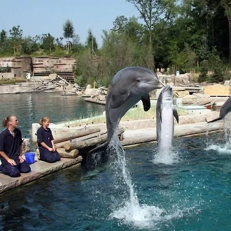 Firstclass Event & Ξενοδοχείο Fürth