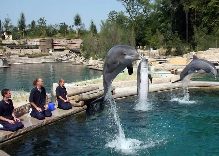 Firstclass Event & Отель Фюрт